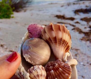 Pass-a-Grille House | Romantic Beach Escape Steps to Sand & Sunset