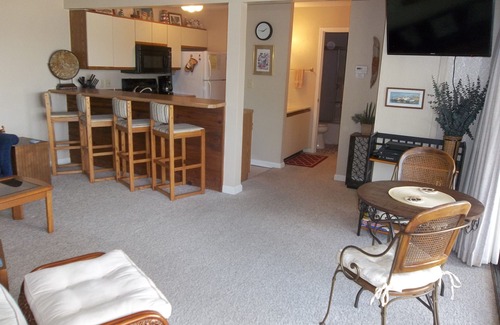 Lake Ozark Condo | Romantic Get-Away! Close to Water's Edge! Smaller Complex! King Bed!