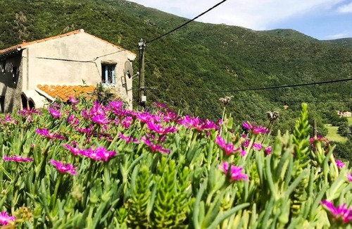 Baillestavy House | Romantic mountain house in the Eastern Pyrenees