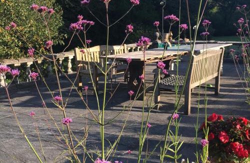 Cardinham Apartment | Romantic, secluded cottage in Cardinham Woods, Cornwall