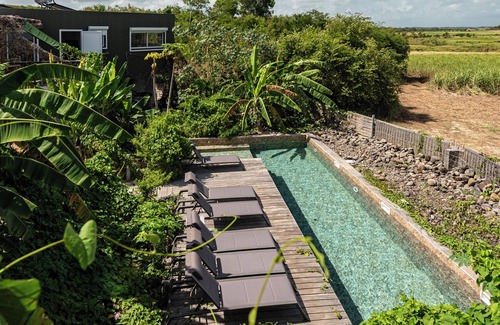 Petit-Canal Apartment | Romantic stay overlooking the sugarcane fields, in a stylish 45 m² apartment