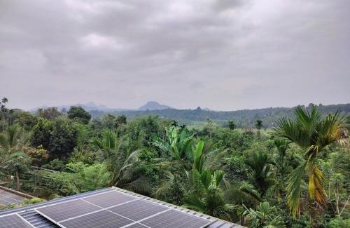 Sulthan Bathery House | Roneys Villa
