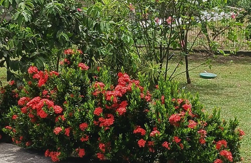 Morne-A-l'Eau House | ROOM FOR TOURISM