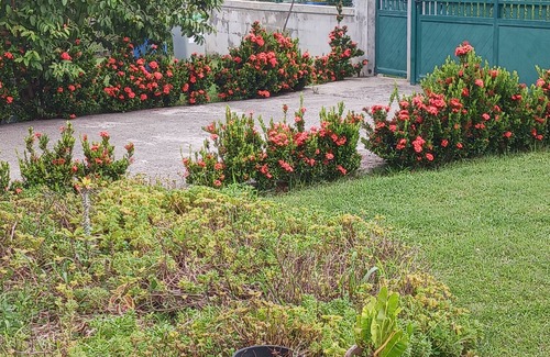 Morne-A-l'Eau House | ROOM FOR TOURISM