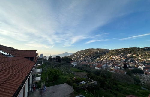Piazza-Tralia-Pendolo Apartment | Room 'Tripla Con Vista Vesuvio' with Mountain View, Wi-Fi and Air Conditioning