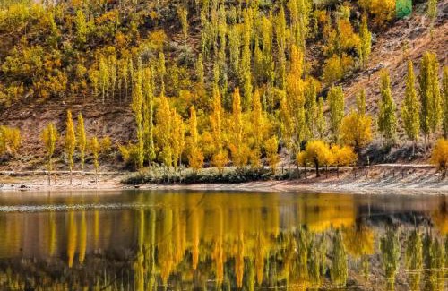 Minapin Other | Roomy Yurts, Minapin Nagar Hunza