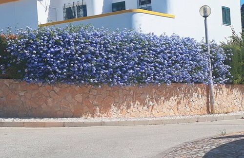 Luz Villa | Rosa Floresta - delightful 3-bed townhouse with private pool & aircon