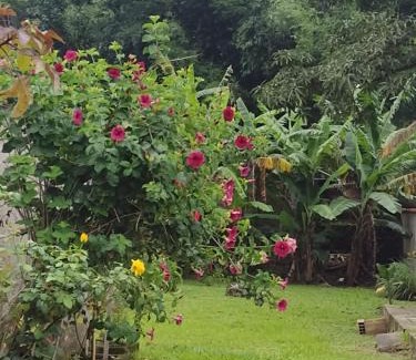 Guapimirim House | Rosane's casa