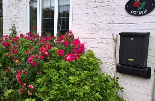 Tatworth House | Rose Cottage