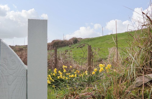 Penzance Cottage | Rose Cottage