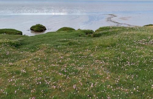 Wigton House | Rose cottage on the peaceful solway coast