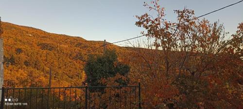 Volos Apartment | Rose Garden Cottage