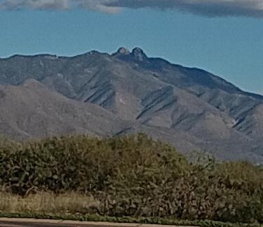 Willcox Hotel | Rose's Motel