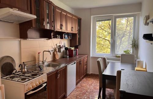 Nivy Apartment | Rose Valley