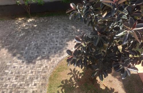 Polgahawela House | Rose Villa