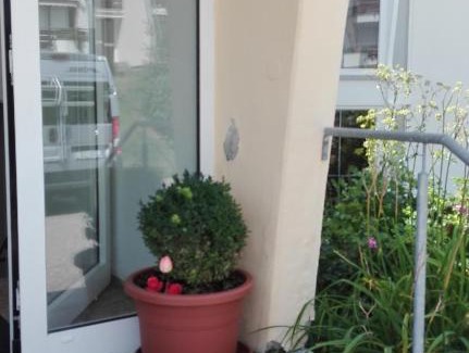 Scheidegg Apartment | Rosenalm Appartment 231