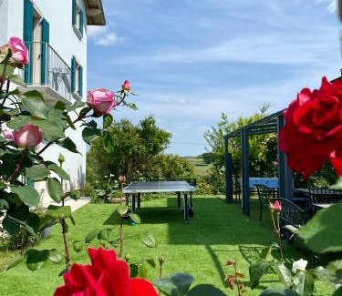 Castelnuovo del Garda Bed & Breakfast | ROSETO HOLIDAYS AZZURRO