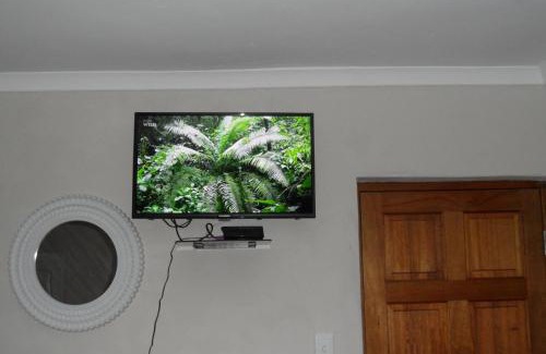 Upington House | Rosy Palm Sunrise