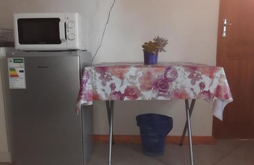 Upington House | Rosy Palm Sunrise