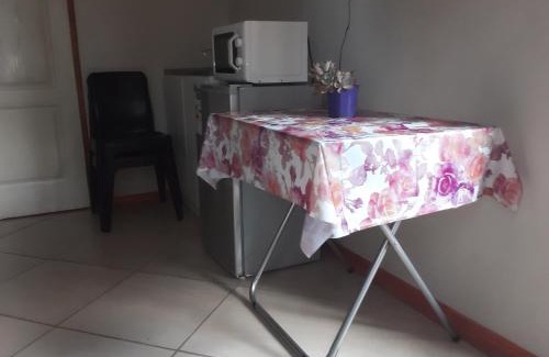 Upington House | Rosy Palm Sunrise