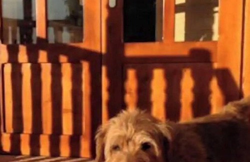 Freland House | Roulotte sur les Nuages en Alsace