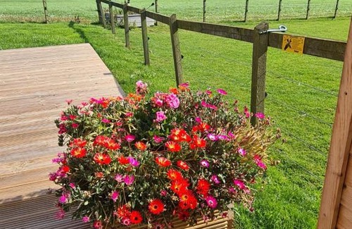 Stonehaven Other | Rowanlea Caravan