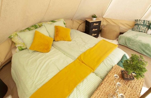 Karlobag RV Rental | Royal Canvas Dandelion
