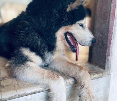 Karachi Hotel | Royal inn