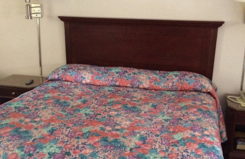 Higbees Daytona Hotel | Royal Inn