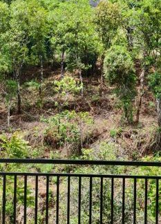 Elappara Cabin | Royal Retreat Vagamon