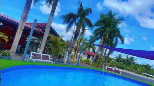 Clevia Apartment | Royal View Residence