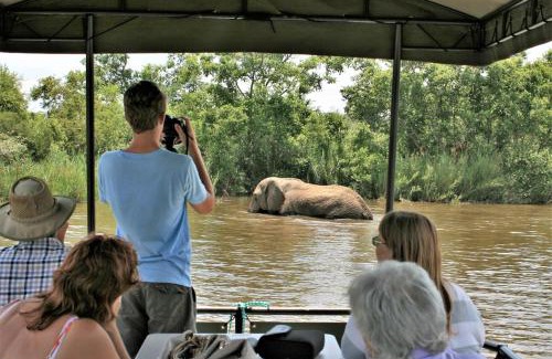 Vaalwater Cabin | Royal Morubisi Founder's Lodge