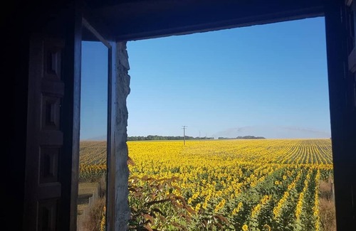 Saint-Pierre-de-Juillers Cottage | 'Ruche' La Grange du Moulin -Just families - Fun for kids - Heated pool - wifi