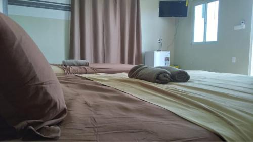 Zanderij Bed & Breakfast | Rumanija's Airport Rooms