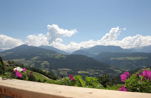 Albions Apartment | Rumpelehof