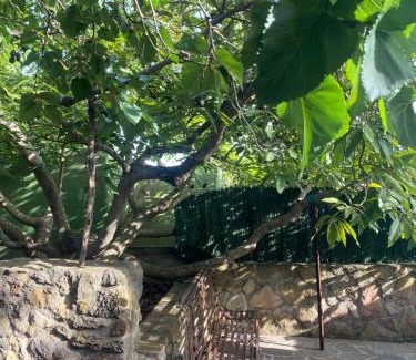 Tacoronte House | Rural House to take a Break, La Serreria 25 - Private garden