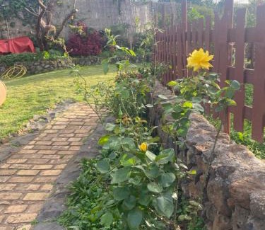 Tacoronte House | Rural House to take a Break, La Serreria 25 - Private garden