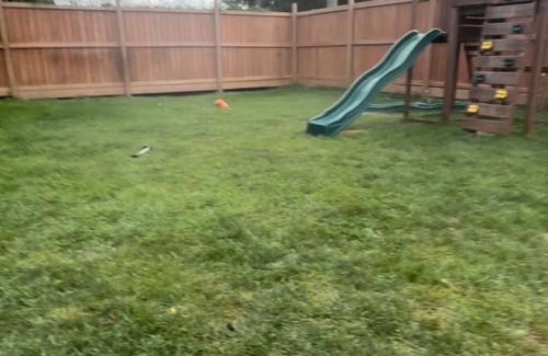 Division No. 16 House | Russell Retreat, w/fireplace, fenced in yard, close to great fishing