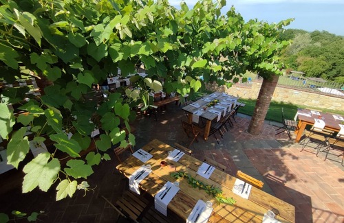 Laterina Apartment | Rustic apartment for 4 people in the heart of the Tuscan countryside, garden with olive trees and sw