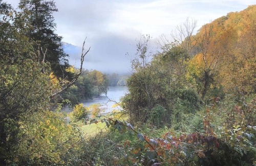 Kyles Ford Cabin | Rustic cabin Clinch River, Fish/Kayak