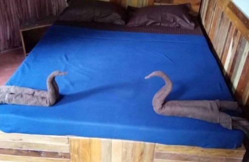 Kaimane House | Rustic Charm Wayanad - Tranquil times (Capsule)