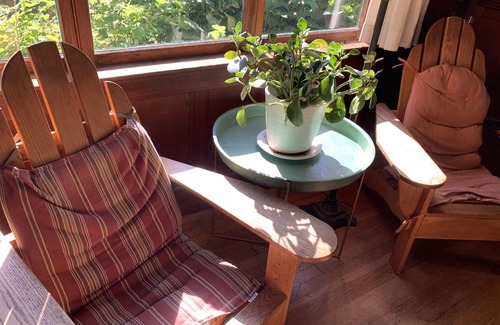 Inverness House | Rustic family vacation retreat with private tennis court!