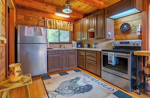 Fancy Gap Cabin | Rustic Fancy Gap Vacation Rental with Fire Pit
