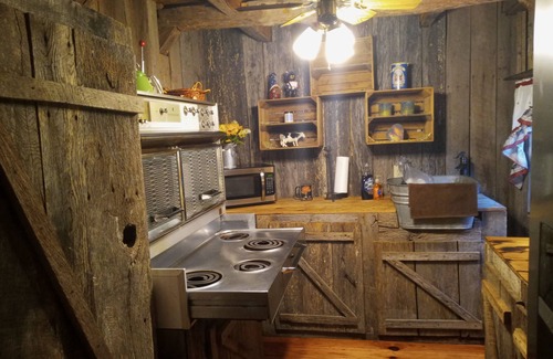 Blue Ridge Mountains Cabin | Rustic, fireplace @ 1800s Log Cabin WIFI TV, Sleeps 3rd night 25%