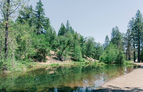 Cave Junction Cabin | Rustic Glamping Cabin - Camp in style and comfort!