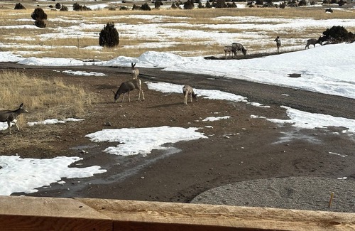 Livingston House | Rustic Luxury Barn Retreat in Pray, Montana – Family & Pet Friendly