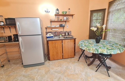 Montego Bay Apartment | Rustic self-contained centrally-located city apartment with modern conveniences