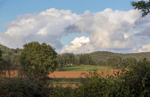 Massa Marittima Apartment | Rustic Tuscan style apartment