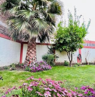 Tupungato Apartment | Ruta 89 Tupungato