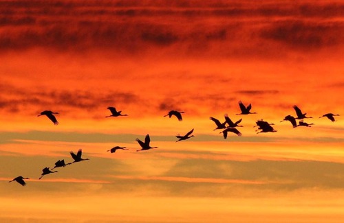 Giffaumont-Champaubert Apartment | Séjour bucolique au lac du der